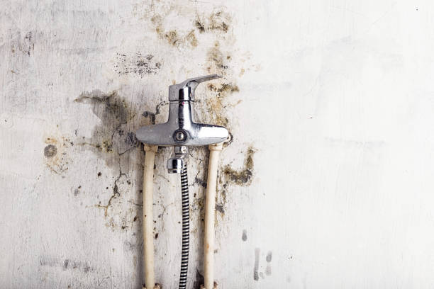 Connell, WA Mold Removal Company