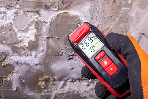 Best Same-Day Mold Removal  in Connell, WA