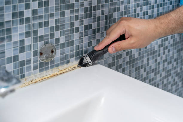 Mold Removal and Inspection in Connell, WA