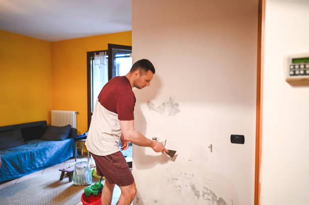 Best Mold Remediation  in Connell, WA